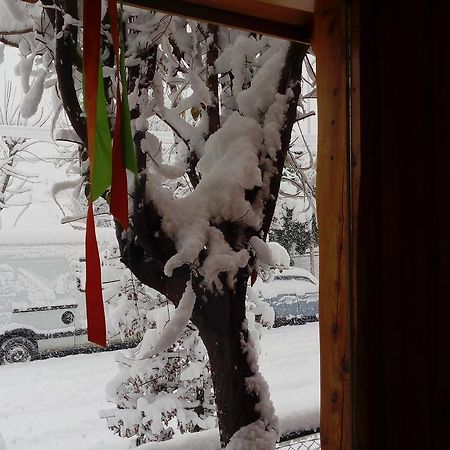 Carpe Diem San Martín de los Andes Eksteriør billede