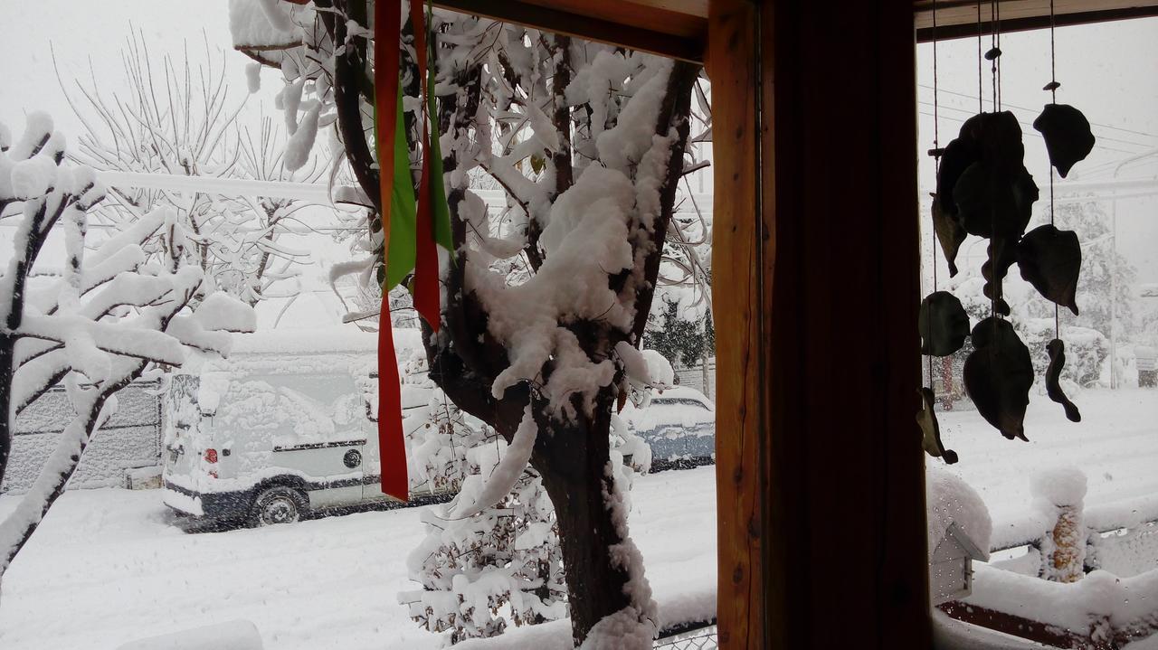 Carpe Diem San Martín de los Andes Eksteriør billede